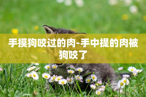 手摸狗咬過的肉-手中提的肉被狗咬了