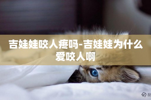 吉娃娃咬人疼嗎-吉娃娃為什么愛咬人啊
