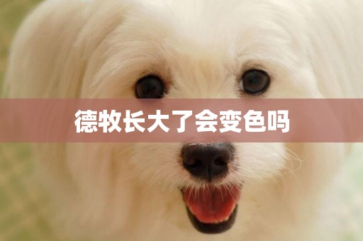 德牧長大了會變色嗎