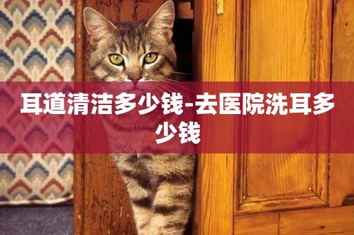 耳道清潔多少錢-去醫院洗耳多少錢
