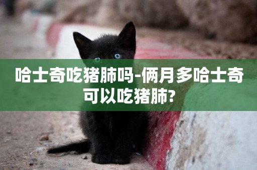 哈士奇吃豬肺嗎-倆月多哈士奇可以吃豬肺?