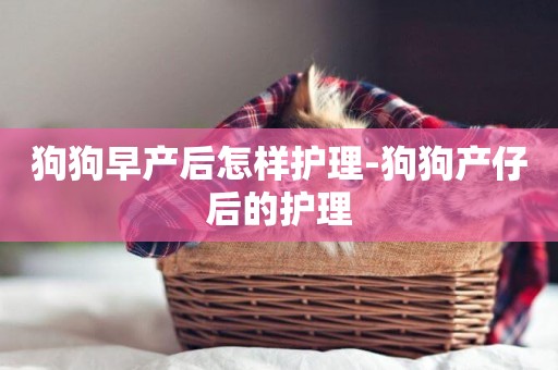 狗狗早產后怎樣護理-狗狗產仔后的護理