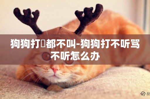 狗狗打罵都不叫-狗狗打不聽罵不聽怎么辦