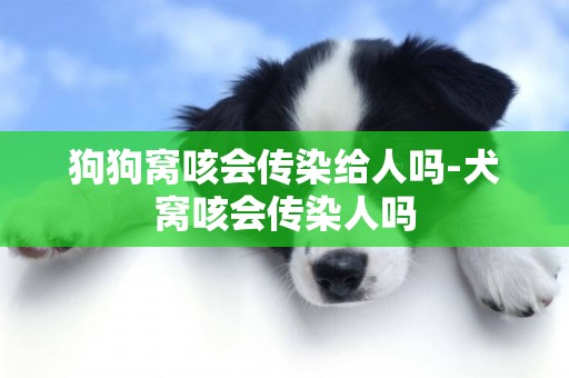 狗狗窩咳會傳染給人嗎-犬窩咳會傳染人嗎
