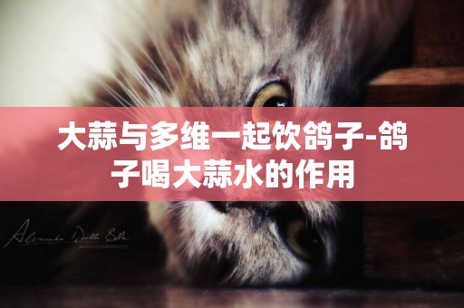 大蒜與多維一起飲鴿子-鴿子喝大蒜水的作用