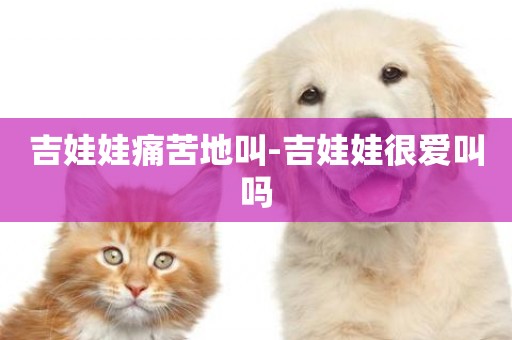 吉娃娃痛苦地叫-吉娃娃很愛叫嗎