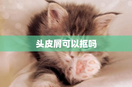 頭皮屑可以摳嗎