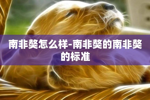 南非獒怎么樣-南非獒的南非獒的標準