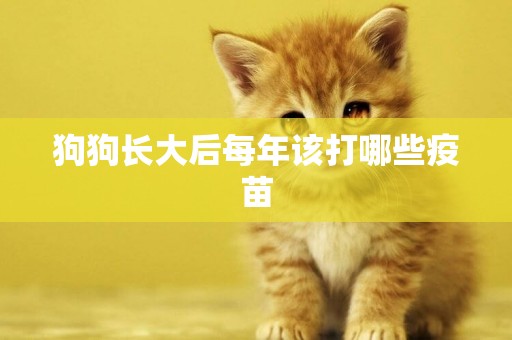 狗狗長大后每年該打哪些疫苗