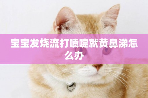 寶寶發燒流打噴嚏就黃鼻涕怎么辦