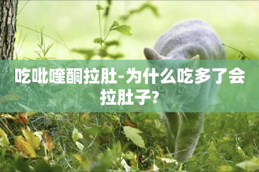 吃吡喹酮拉肚-為什么吃多了會拉肚子?