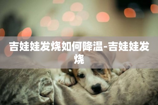 吉娃娃發燒如何降溫-吉娃娃發燒