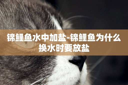 錦鯉魚水中加鹽-錦鯉魚為什么換水時要放鹽