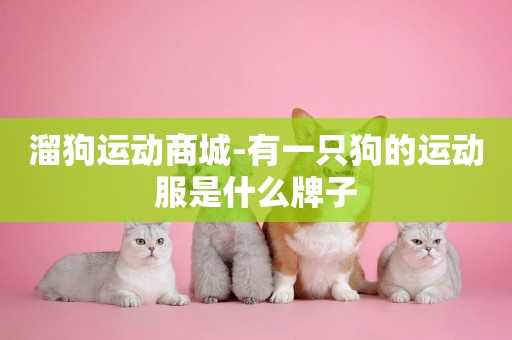 溜狗運動商城-有一只狗的運動服是什么牌子