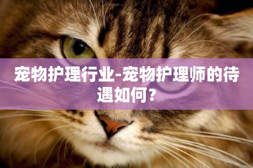 寵物護理行業-寵物護理師的待遇如何？