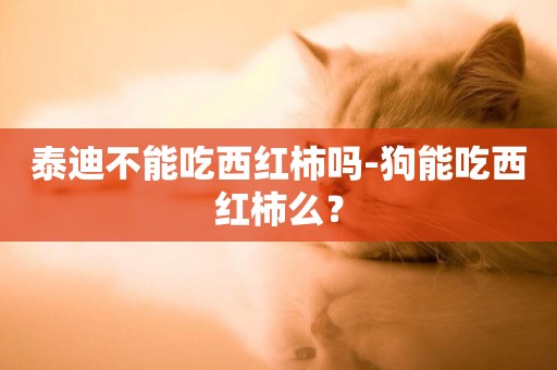泰迪不能吃西紅柿嗎-狗能吃西紅柿么？