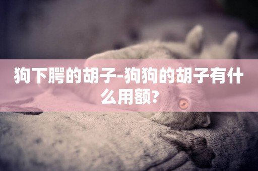 狗下腭的胡子-狗狗的胡子有什么用額?