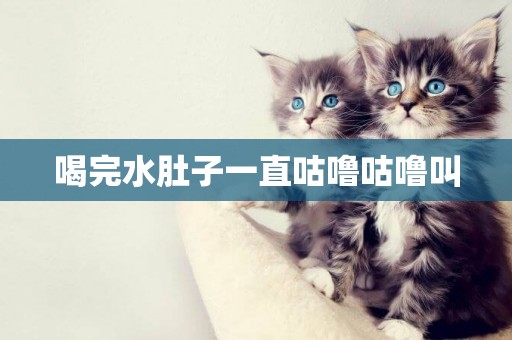 喝完水肚子一直咕嚕咕嚕叫