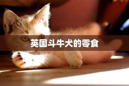 英國斗牛犬的零食