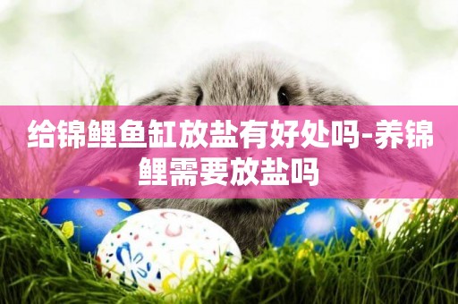 給錦鯉魚缸放鹽有好處嗎-養錦鯉需要放鹽嗎