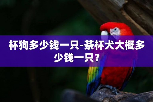 杯狗多少錢一只-茶杯犬大概多少錢一只？