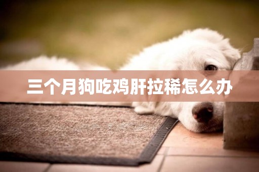 三個月狗吃雞肝拉稀怎么辦