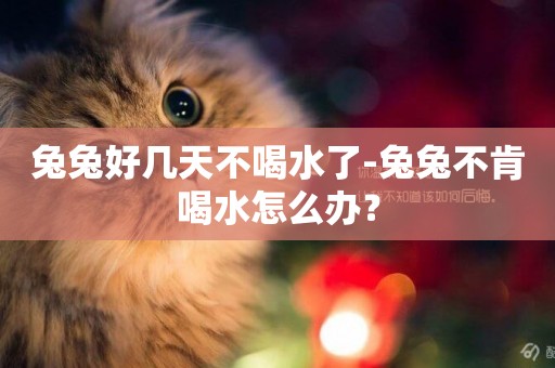 兔兔好幾天不喝水了-兔兔不肯喝水怎么辦？