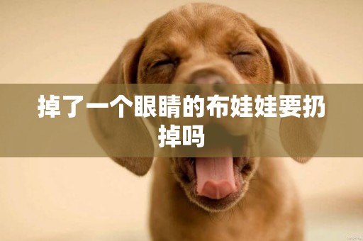 掉了一個眼睛的布娃娃要扔掉嗎
