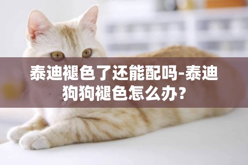 泰迪褪色了還能配嗎-泰迪狗狗褪色怎么辦？