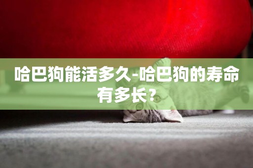 哈巴狗能活多久-哈巴狗的壽命有多長？