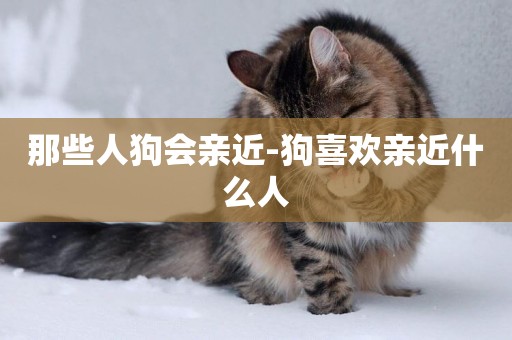 那些人狗會親近-狗喜歡親近什么人
