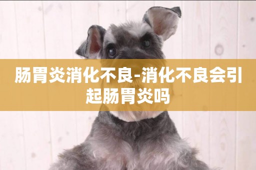 腸胃炎消化不良-消化不良會引起腸胃炎嗎