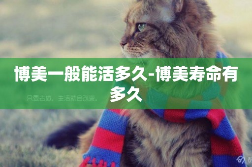 博美一般能活多久-博美壽命有多久