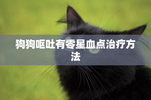 狗狗嘔吐有零星血點治療方法