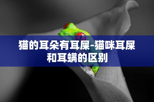 貓的耳朵有耳屎-貓咪耳屎和耳螨的區別