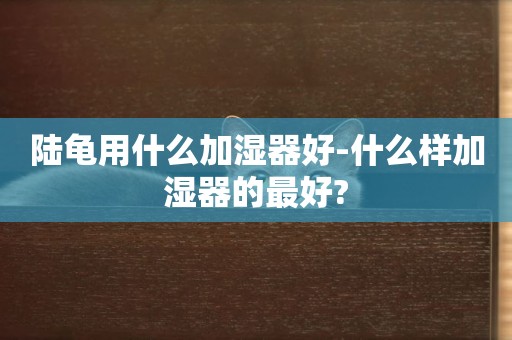 陸龜用什么加濕器好-什么樣加濕器的最好?