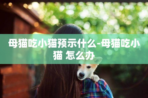 母貓吃小貓預示什么-母貓吃小貓 怎么辦