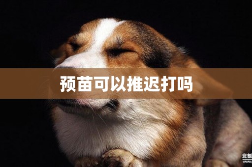 預苗可以推遲打嗎
