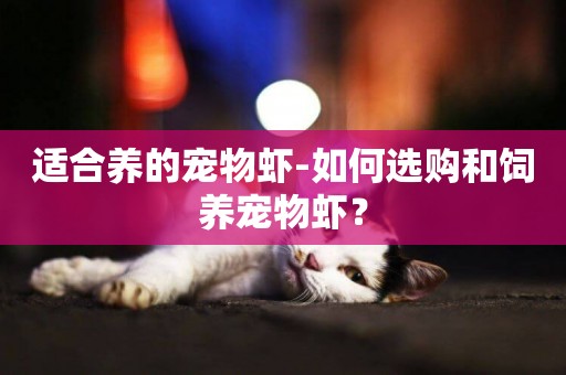 適合養的寵物蝦-如何選購和飼養寵物蝦？