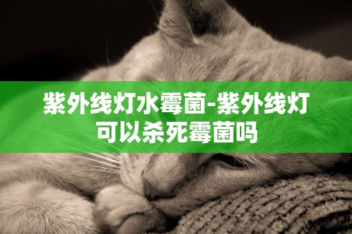 紫外線燈水霉菌-紫外線燈可以殺死霉菌嗎
