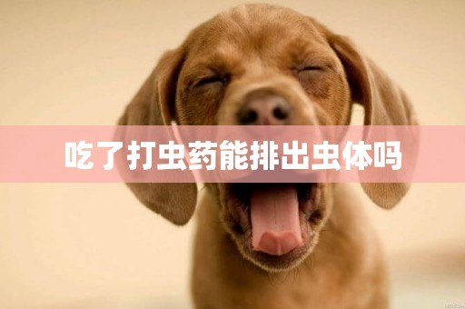 吃了打蟲藥能排出蟲體嗎