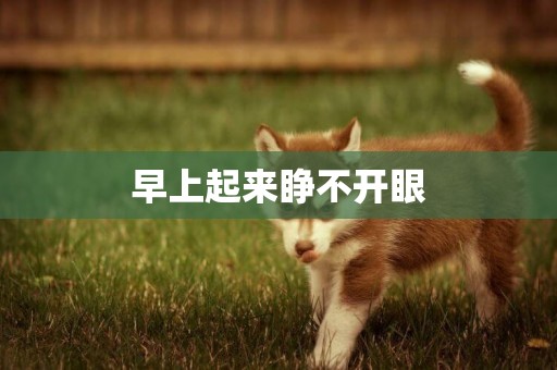 早上起來睜不開眼
