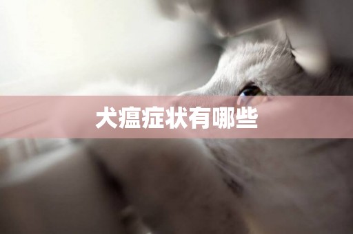 犬瘟癥狀有哪些