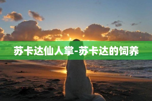 蘇卡達仙人掌-蘇卡達的飼養