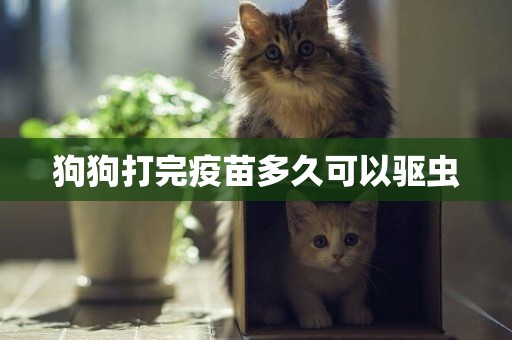 狗狗打完疫苗多久可以驅蟲