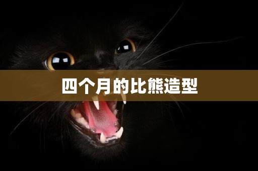 四個月的比熊造型