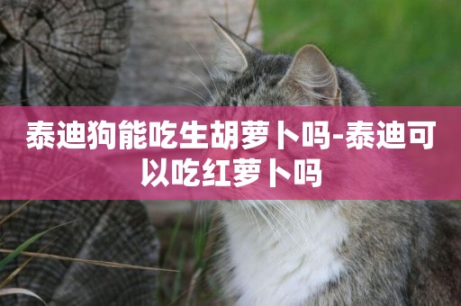 泰迪狗能吃生胡蘿卜嗎-泰迪可以吃紅蘿卜嗎