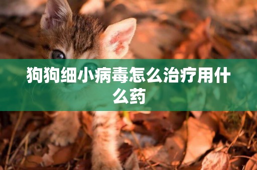狗狗細小病毒怎么治療用什么藥