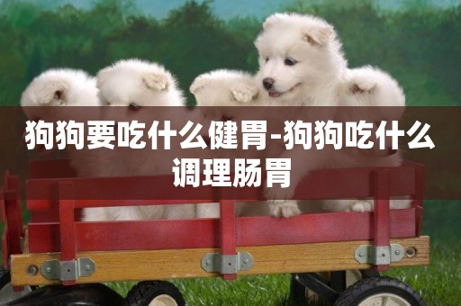 狗狗要吃什么健胃-狗狗吃什么調理腸胃