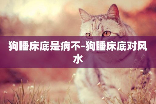 狗睡床底是病不-狗睡床底對風水